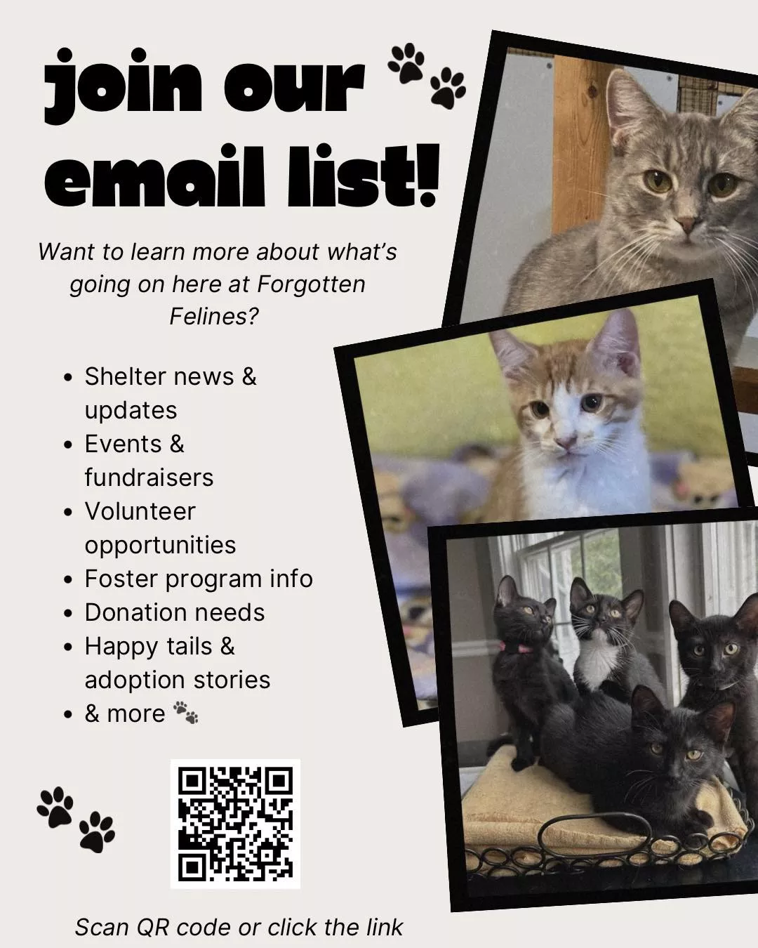 Email list flyer for cat shelter updates, fundraising, adoptions, and volunteer news